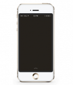 Unlock MTS Allstream iPhone SE